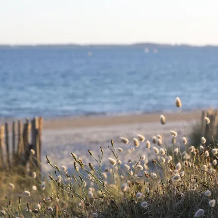 Les Terrasses De La Plage-2 By Interhome